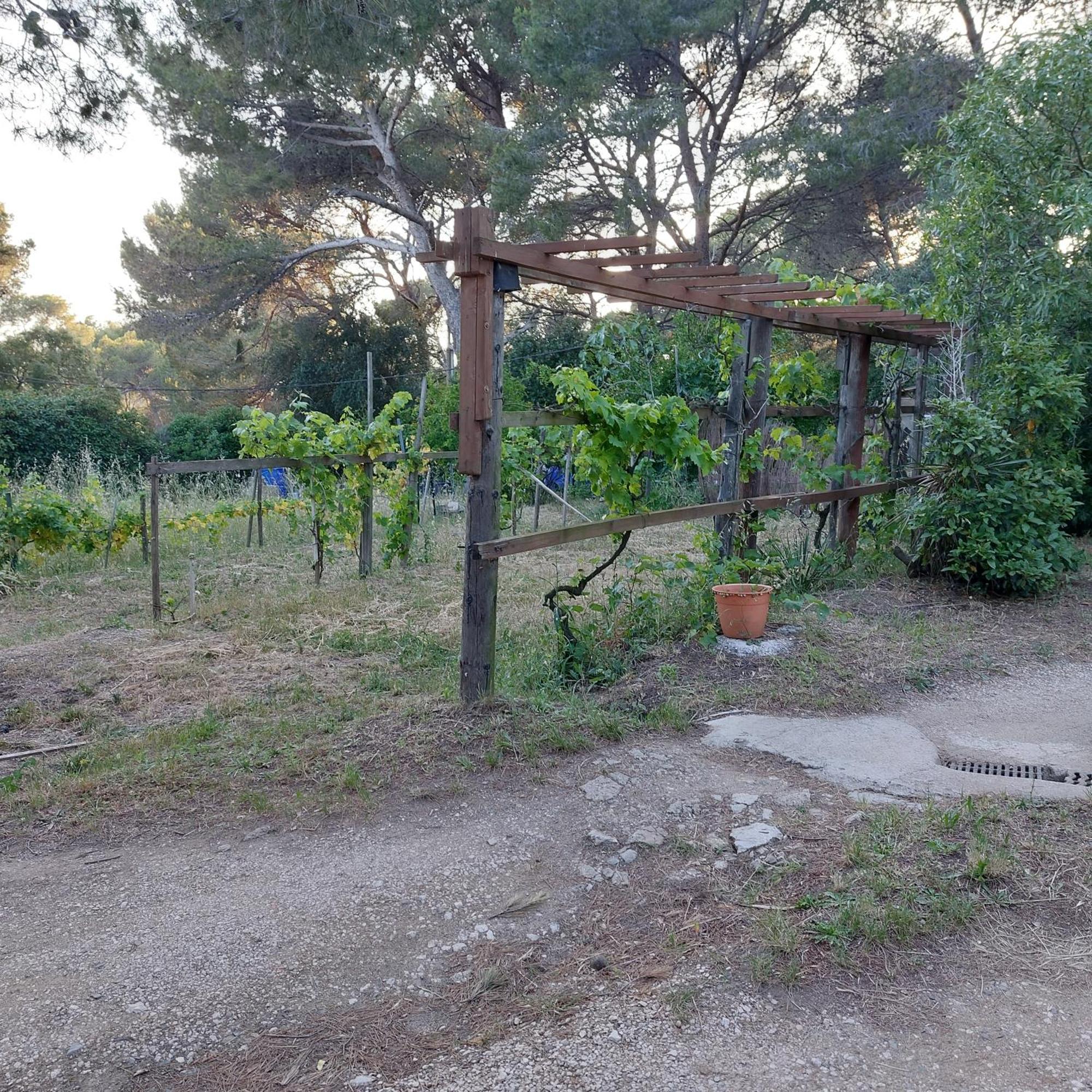 Naturetmer4 Six-Fours-les-Plages Extérieur photo